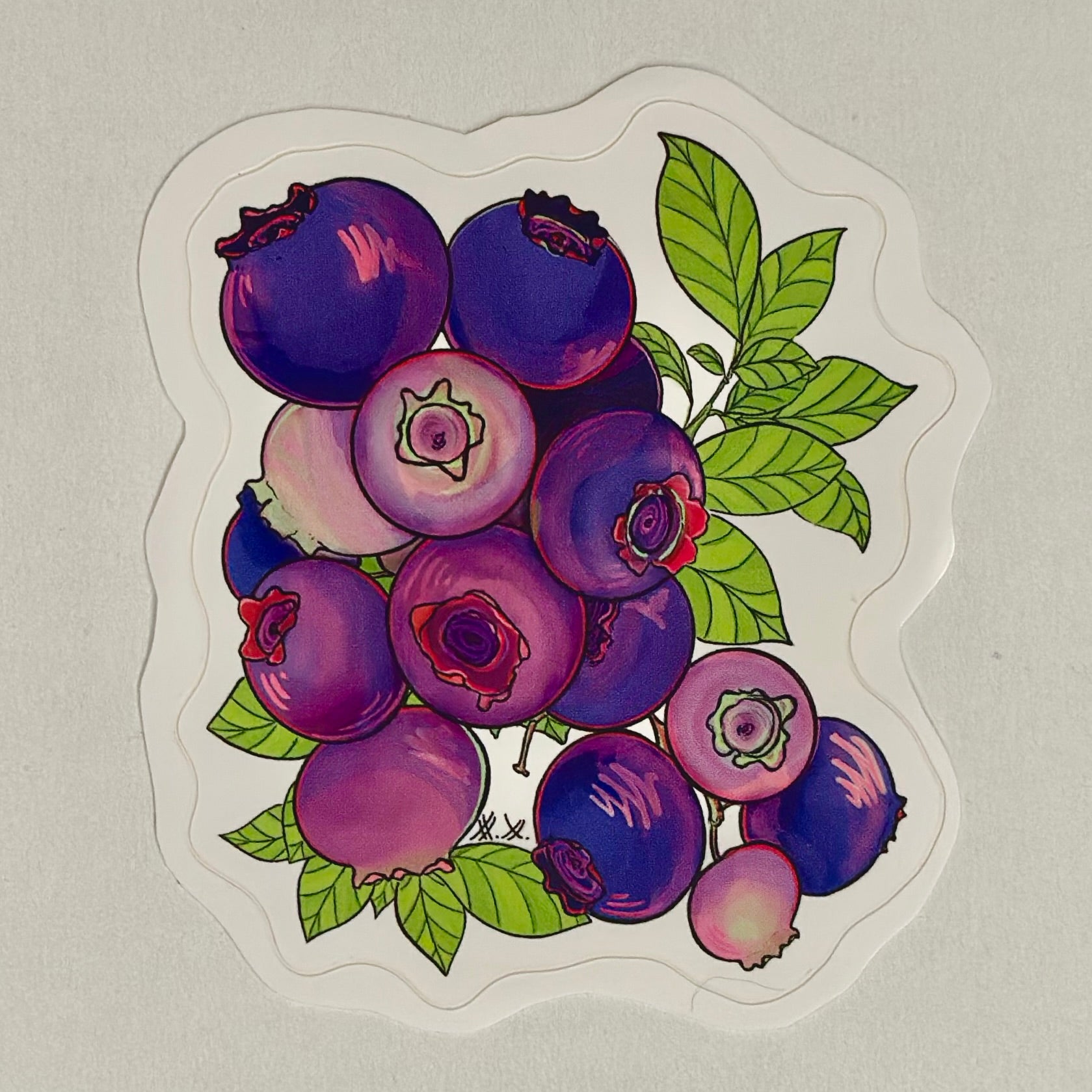 not your average blueberry