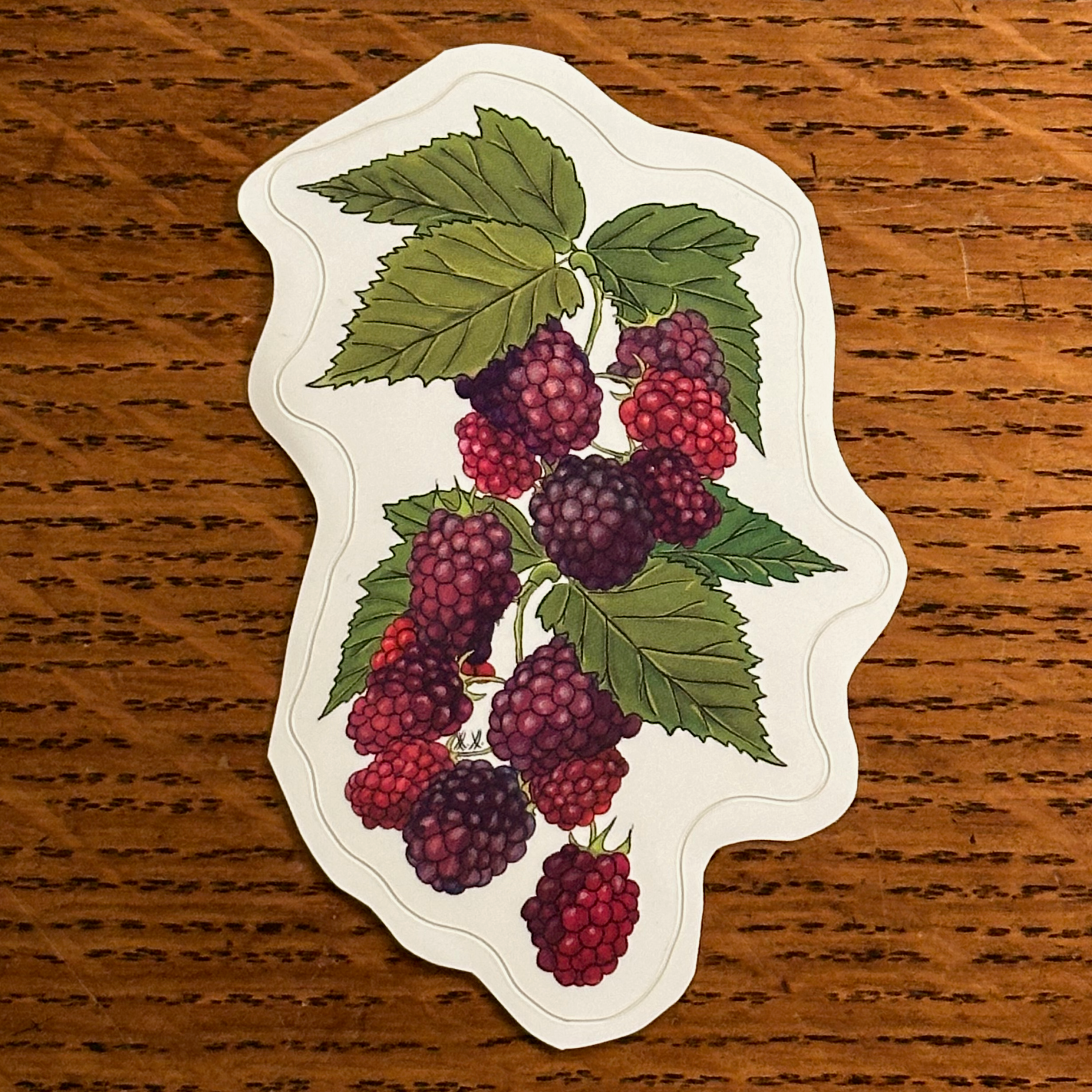 blackberries sticker